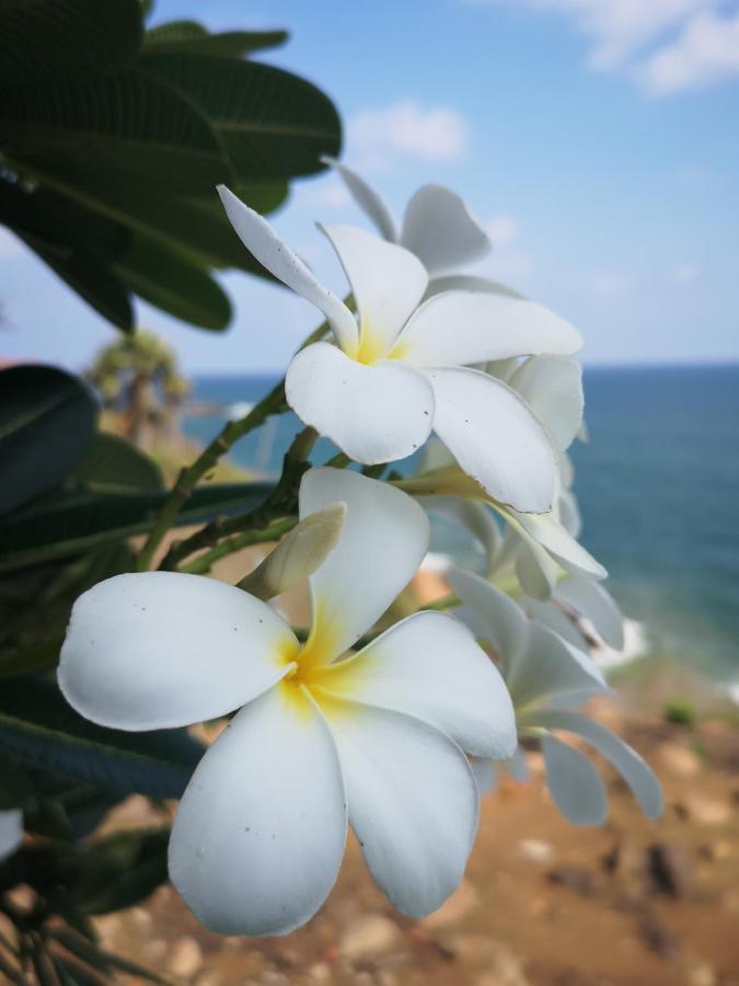 Cherai Lake Resort Черай-Бич Экстерьер фото